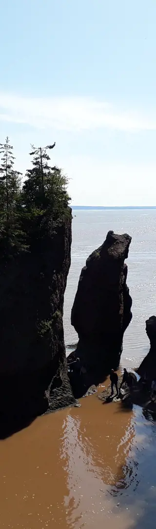 Hopewell Rocks